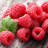 50 Pcs Red Raspberry Plants